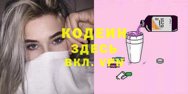индика Краснослободск