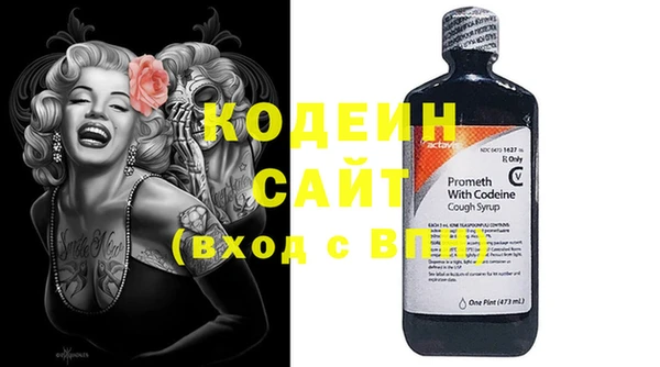 индика Краснотурьинск