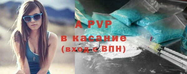 индика Краснослободск