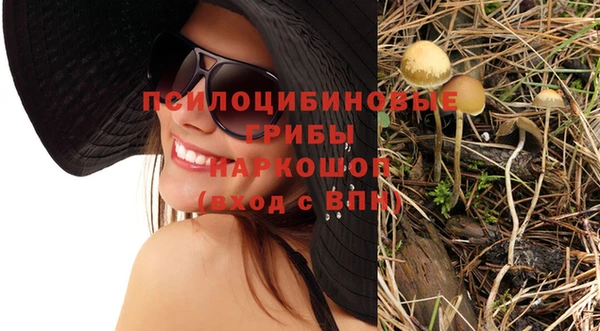 индика Краснослободск