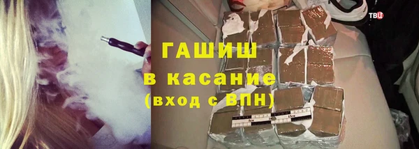 индика Краснотурьинск