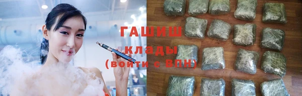 индика Краснослободск