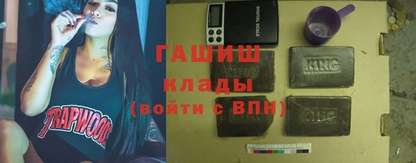 индика Краснослободск
