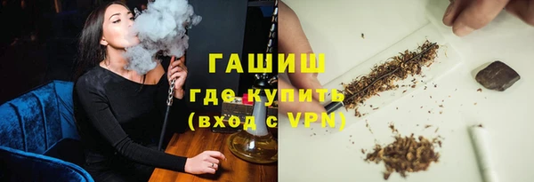 индика Краснотурьинск