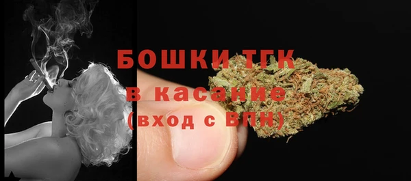 индика Краснослободск