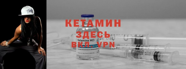 индика Краснослободск