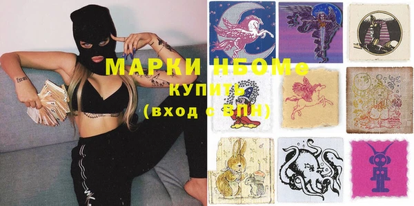 индика Краснотурьинск