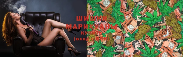 индика Краснослободск