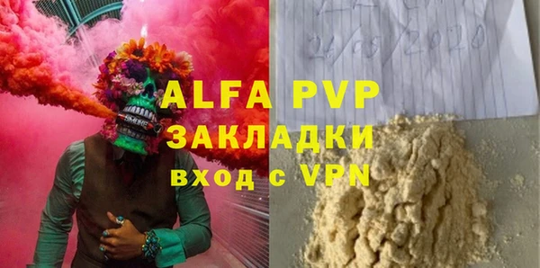 индика Краснослободск