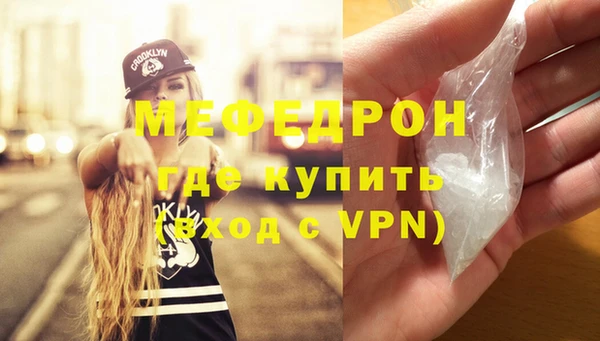 индика Краснослободск