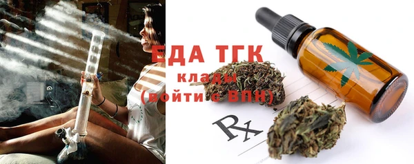 индика Краснотурьинск