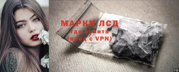 индика Краснослободск