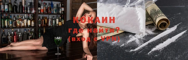 индика Краснослободск