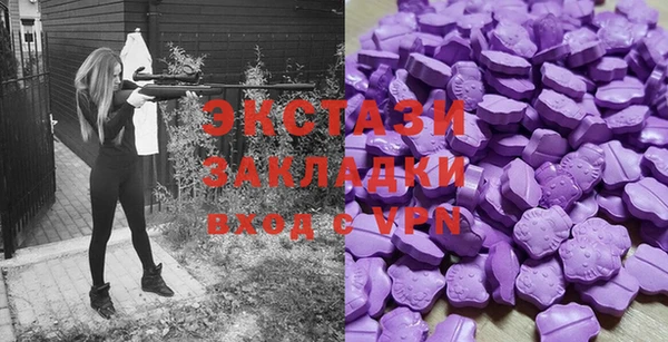 индика Краснослободск