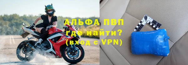 индика Краснослободск